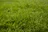 BPL Hydroseed & Environmental