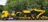 C. Sehn Trucking Ltd