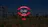 D-W Wilson Services Ltd