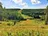 Integrated Vegetation Solutions Inc